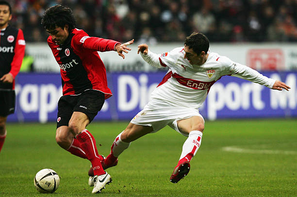 了巨大进步 了巨大进步