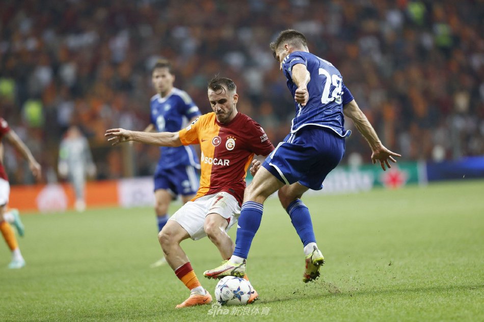 验的过程 验的过程